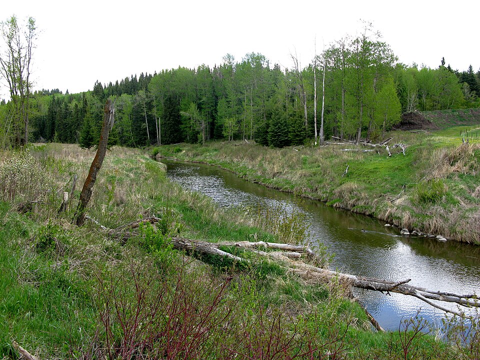 Fayl:Blindman River AB.JPG
