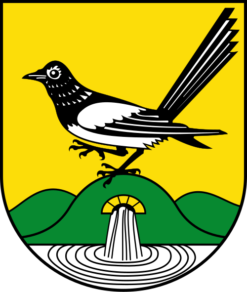 Fayl:DEU Bad Elster COA.svg