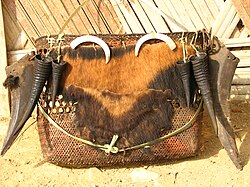 Malay ayigʻining terisi va soʻyloqtishlari