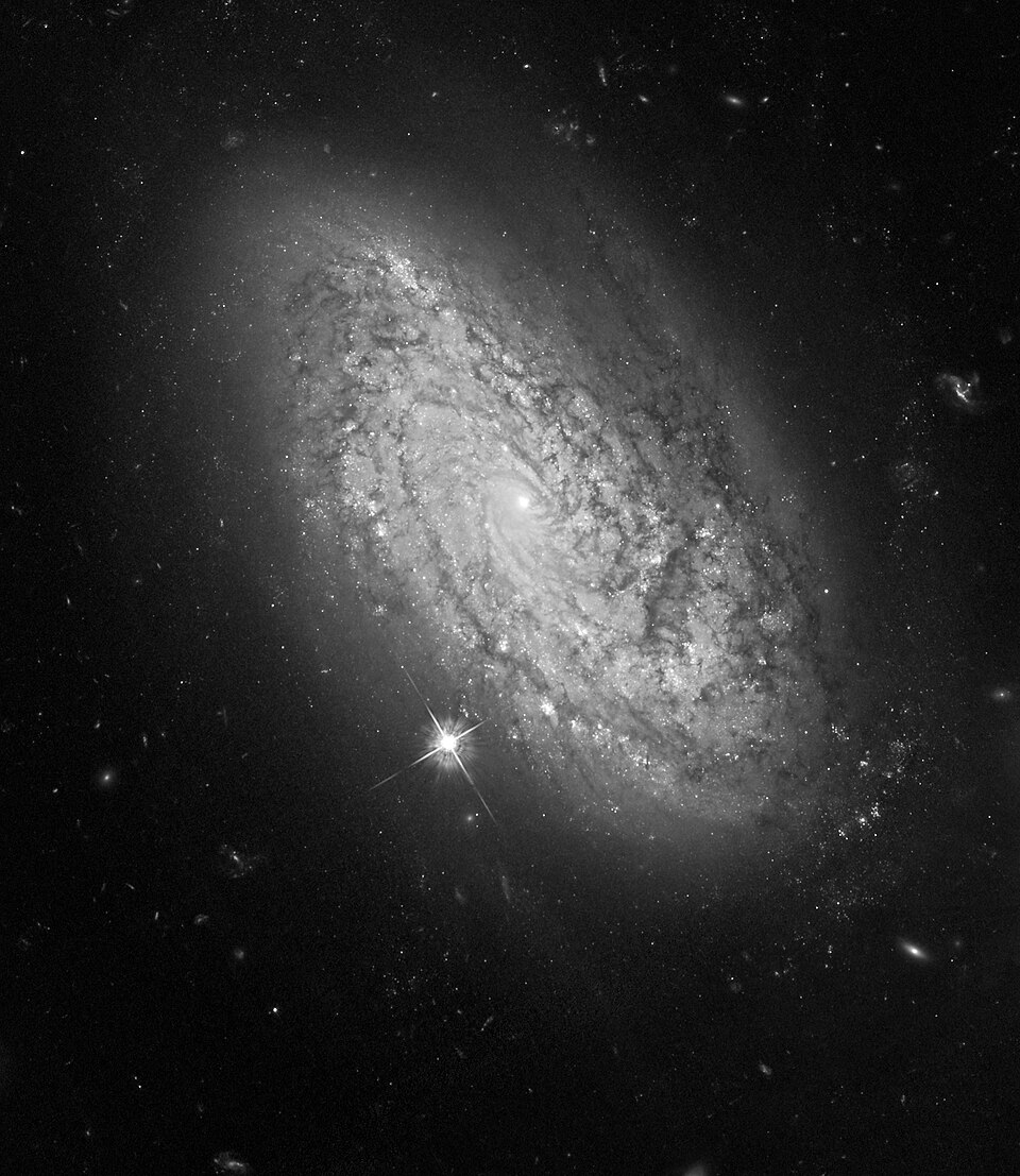 Fayl:NGC 3021 Hubble.jpg