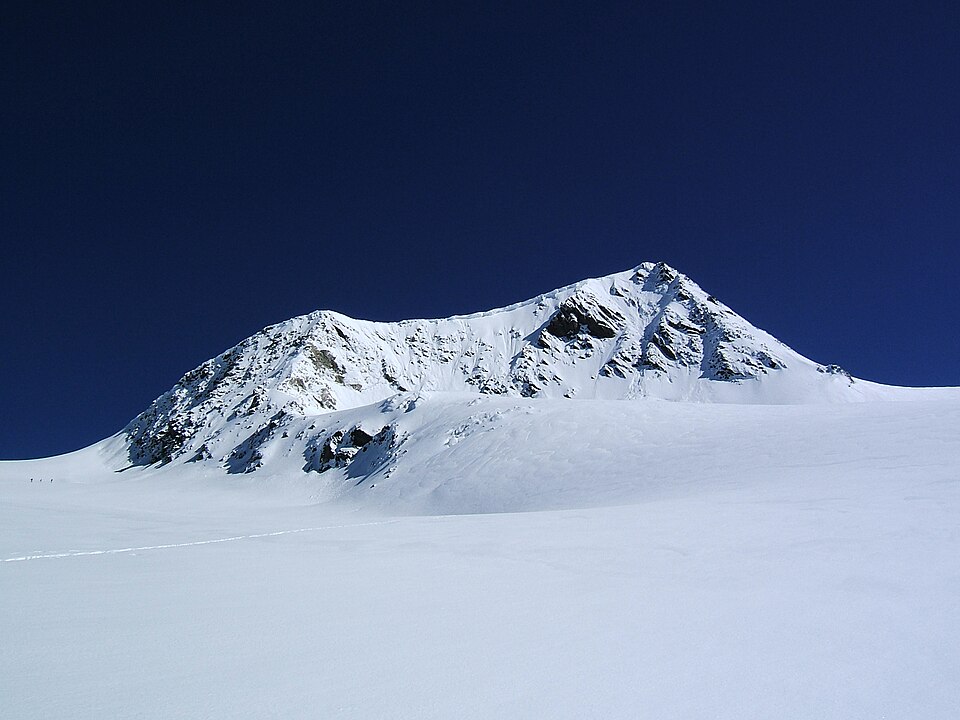 Fayl:RainerhornFormS.jpg