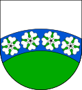 Slaná