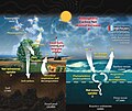 Quruqlik, atmosfera va okean o'rtasidagi uglerod harakatini ko'rsatuvchi tezkor uglerod aylanishi