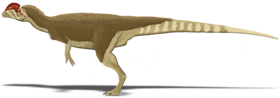 Fayl:Dilophosaurus wetherilli.PNG