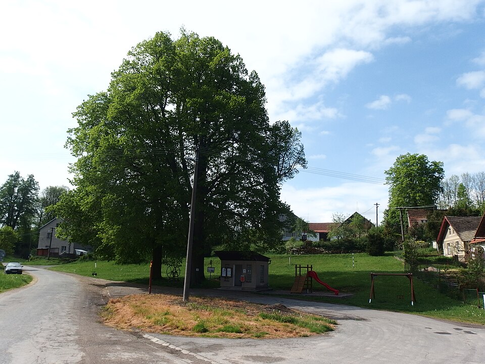 Fayl:Doubravice (Leština), náves.jpg