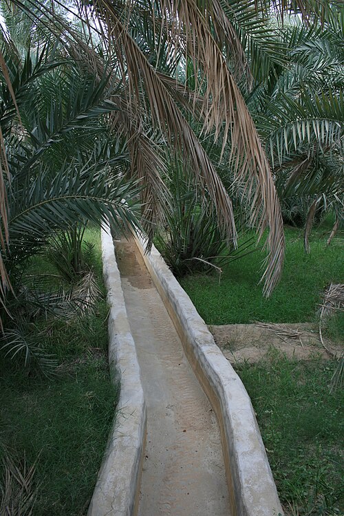 Al-Ain Oasis