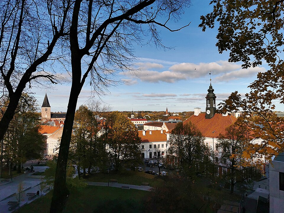 Fayl:Heart of Tartu.jpg