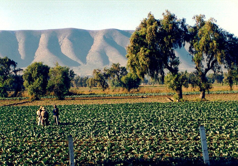 Fayl:Puebla farmers.jpg