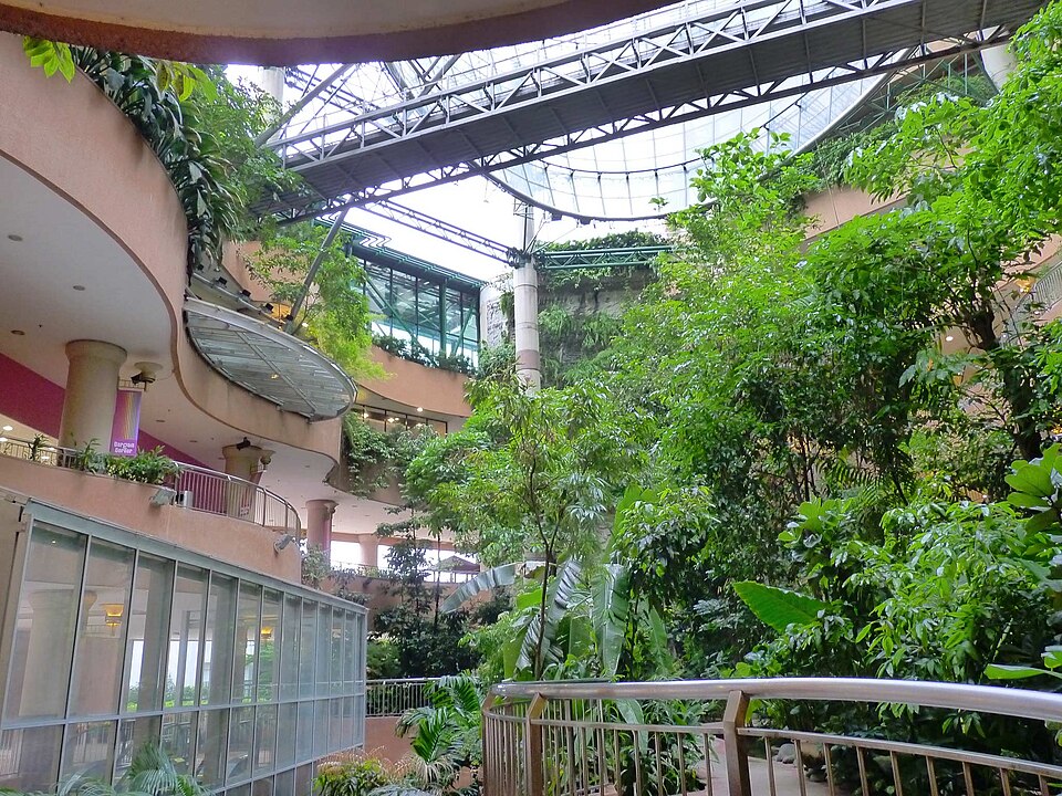 Fayl:1 Utama Rainforest.jpg