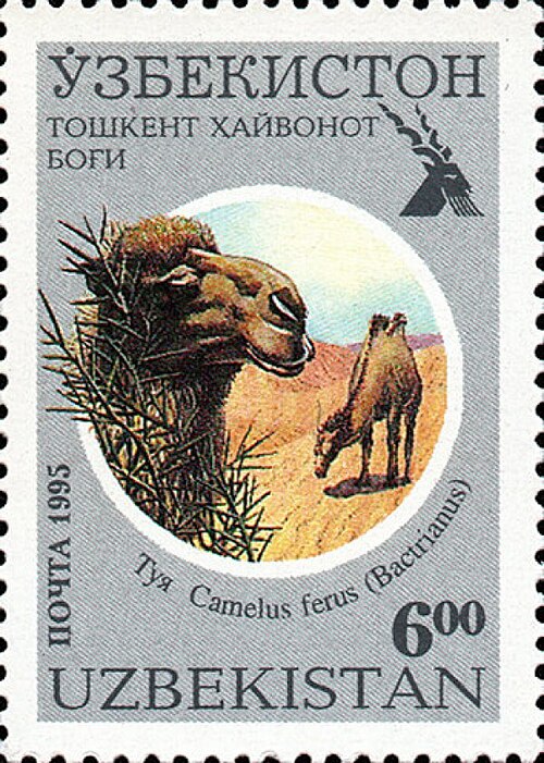 Fayl:Uz Michel 94.jpg