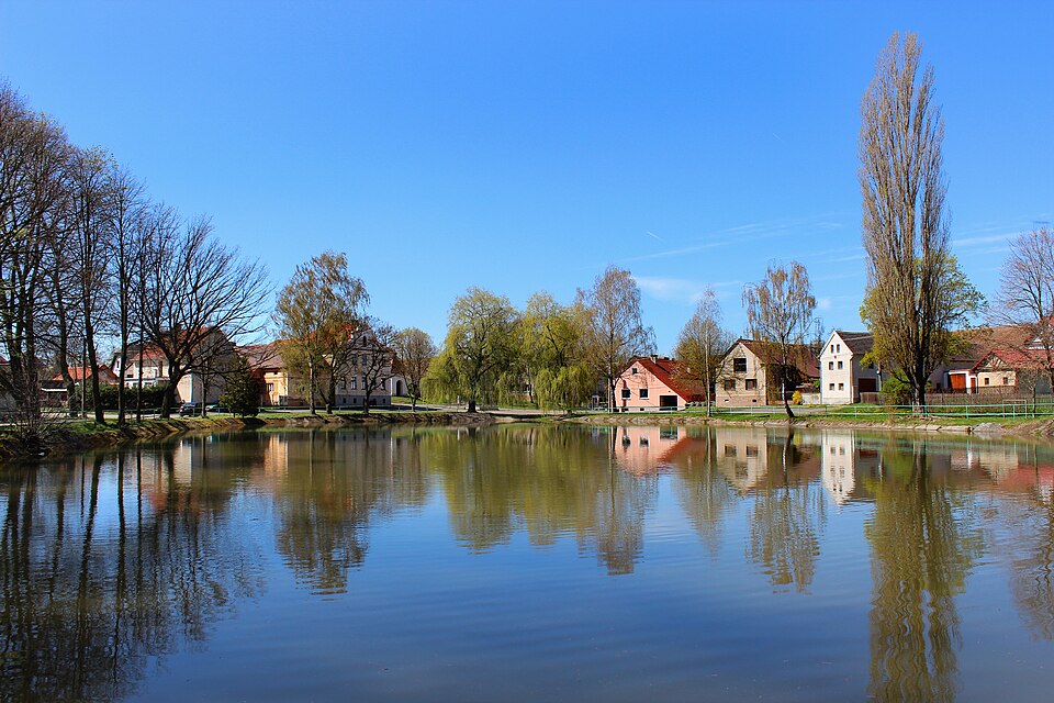 Fayl:Únehle, common pond 2.jpg
