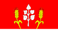 {{{rasmiy_nomi}}}ning bayrogʻi