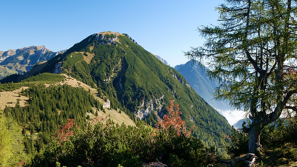 Fayl:Bärenkopf, 1991 m.jpg