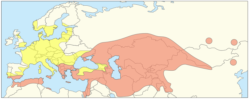 Fayl:Genus tulipa distribution.svg