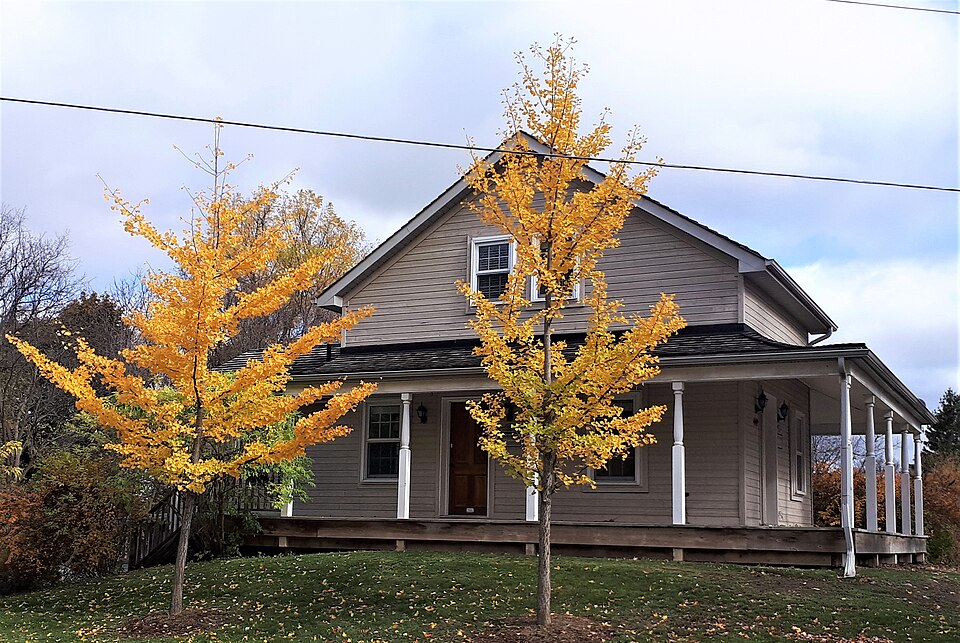 Fayl:Hollingshead House-449 Eagle-Newmarket-Ontario-HPC14853-20201024 (2).jpg