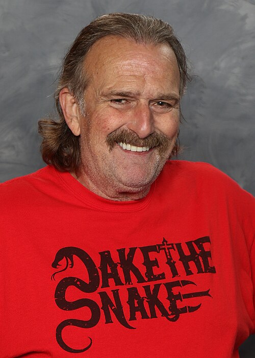 Fayl:Jake Roberts 2017.jpg