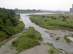 Sagami daryosi