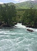 Beshtorsoy Oygayingga quyiladi