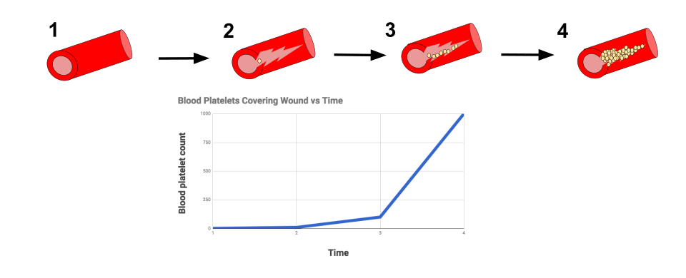 Fayl:Positive Feedback Diagram (2).svg