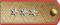 general-polkovnik