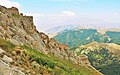 Bobak qalʼasi