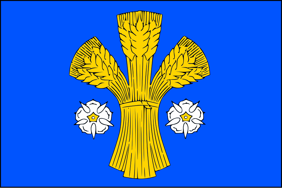 Fayl:Flag of Dolní Lutyně.svg