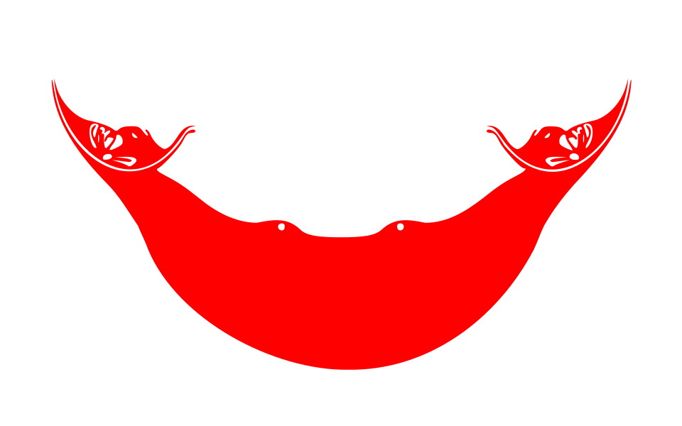 Fayl:Flag of Rapa Nui, Chile.svg
