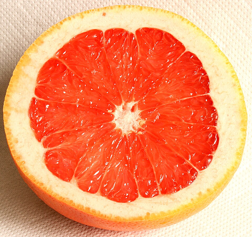 Fayl:Grapefruit Schnitt 2008-3-3.JPG