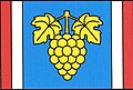 {{{rasmiy_nomi}}}ning bayrogʻi