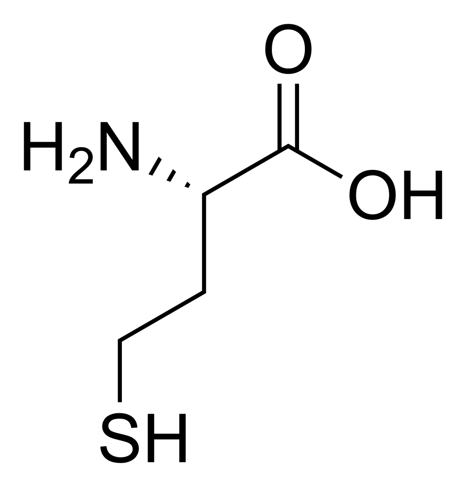 Fayl:L-Homocysteine.svg