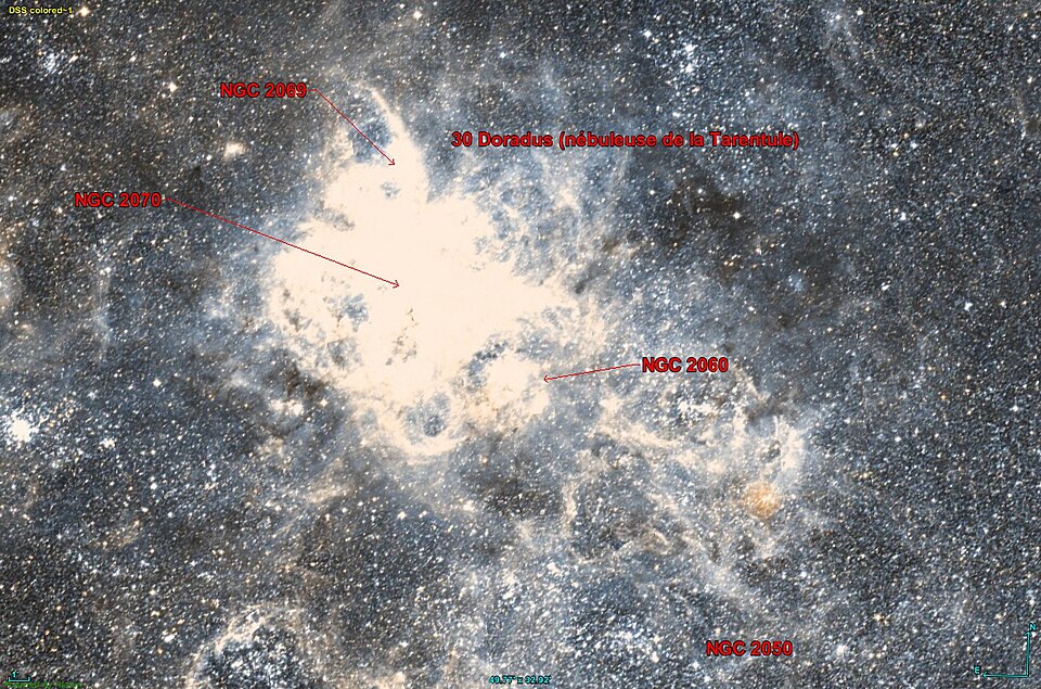 Fayl:NGC 2060 DSS.jpg