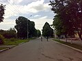 Krasilivdagi ko'cha