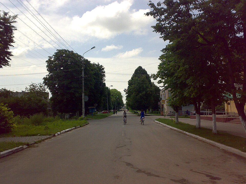 Fayl:Street in Krasyliv.jpg