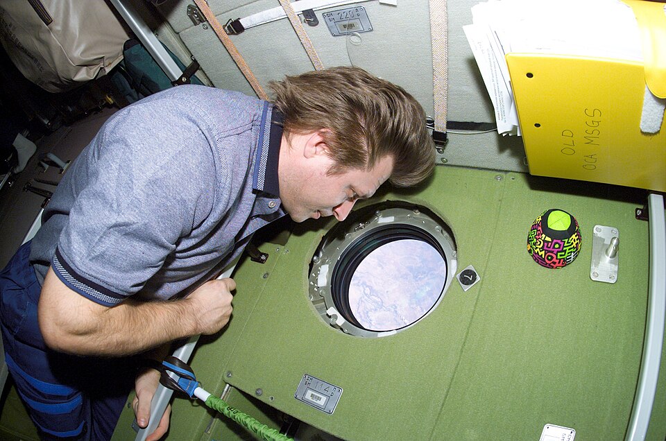 Fayl:Onufriyenko Exp4 1.jpg