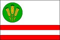 {{{rasmiy_nomi}}}ning bayrogʻi