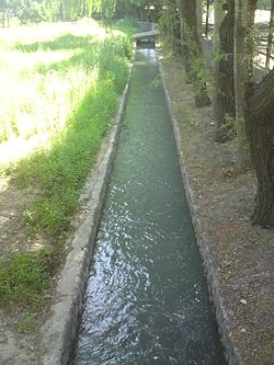 Novza