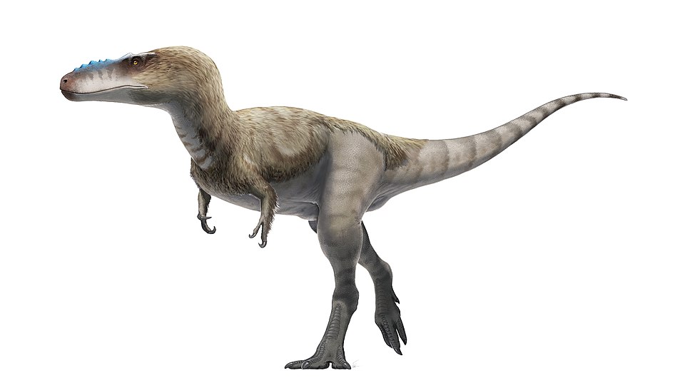 Fayl:Alioramus Life Restoration.jpg