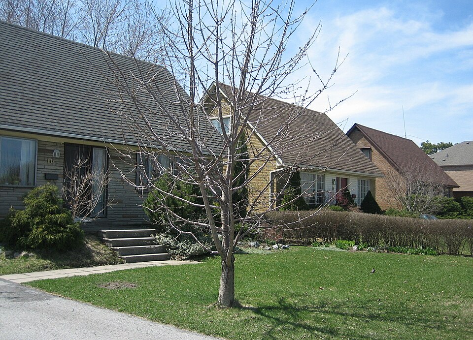 Fayl:Don Mills homes.JPG