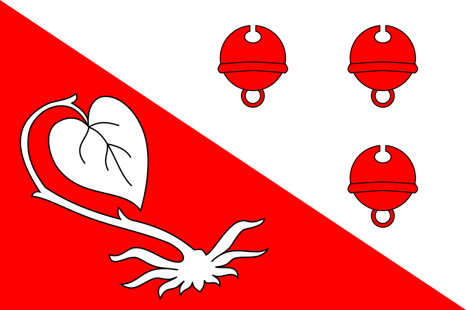 Fayl:Flag of Přelíc CZ.svg