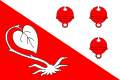 {{{rasmiy_nomi}}}ning bayrogʻi