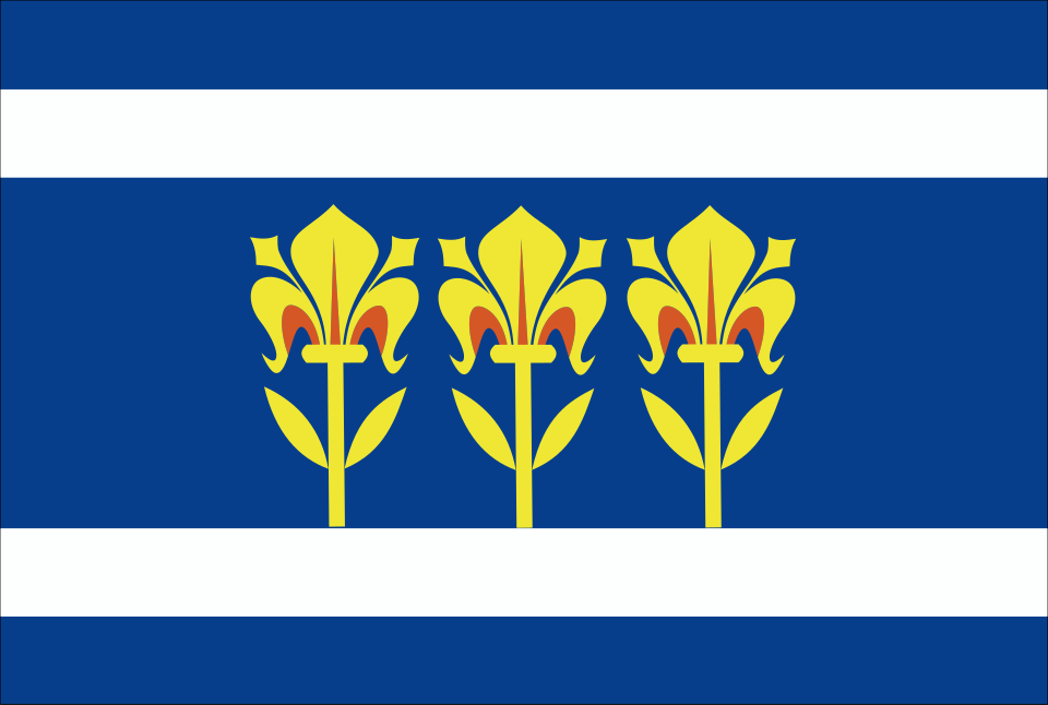 Fayl:Flag of Provodov.svg