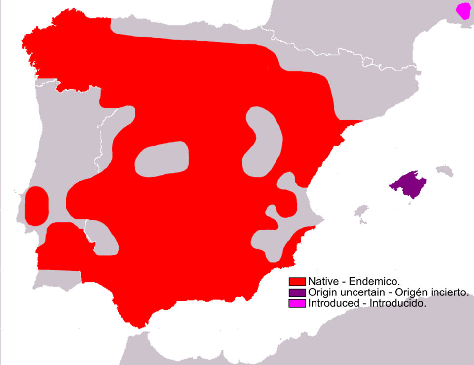 Fayl:Lepus granatensis range Map.png