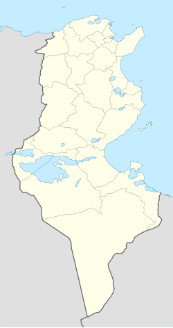 JoyXarita Tunis