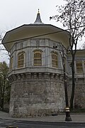 Alay koʻshkining tashqi koʻrinishi