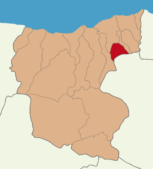 Doğankent tumani