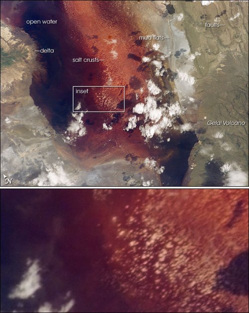 Fayl:LakeNatron satellite labelled.jpg