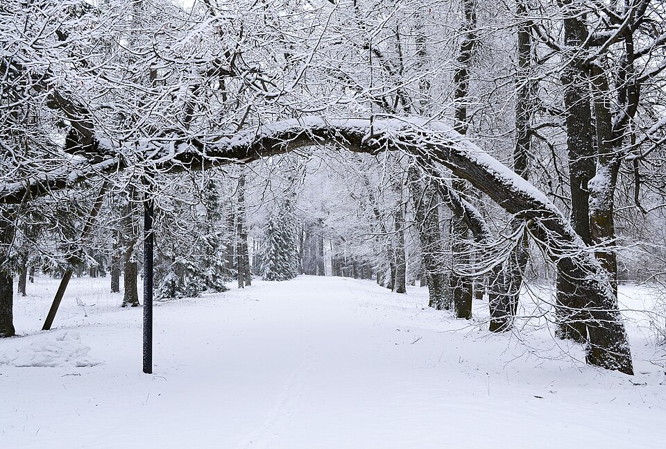 Fayl:Luunja mõisa park.jpg