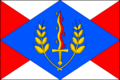 {{{rasmiy_nomi}}}ning bayrogʻi