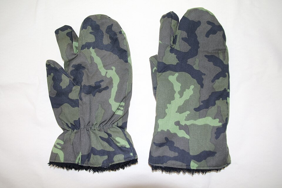 Fayl:Three finger gloves 1995.jpg