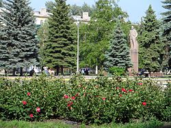 Skyline of Holubivka
